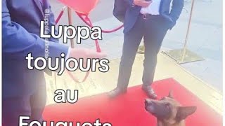 “Luppa est reçue comme une princesse par Mr Stephane Tendero directeur du restaurant Hotel Fouquet’ [upl. by Nyliahs761]