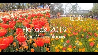 Floriade 2019 Full Walking Tour Australias Biggest Celebration of Spring Canberra ACT [upl. by Nylatsyrc]