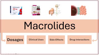 Macrolide Antibiotics Explained Mechanism Uses and Side Effects  HighYield Overview [upl. by Aleuqahs]