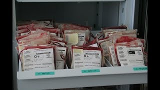 BLUTGRUPPENDIÄT  JETZT KANN ICH ENDLICH FLEISCH ESSEN [upl. by Carnes]