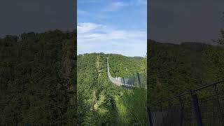 Geierlay Suspension bridge Germany [upl. by Ballard]