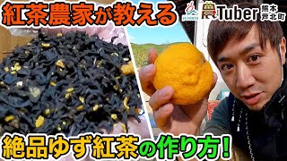 熊本・紅茶農家が教える絶品ゆず紅茶の作り方！～熊本・芦北町～ 第4代農Tuber 梶原康弘  JAグループ「農Tuber」ちゃんねる [upl. by Leviralc807]