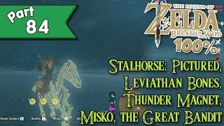 Legend of Zelda Breath of the Wild 100 walkthrough Part 84  Stable Sidequest Solutions [upl. by Yeliak]