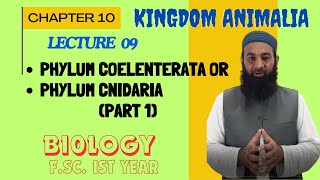 Phylum CoelenterataCnidaria I Chapter 10 I FSc I First Year I biology I Lec 09 [upl. by Subocaj398]