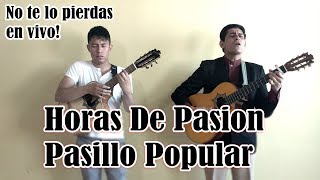 Horas De Pasion  Pasillos Populares  Hermanos Chamba [upl. by Lew]