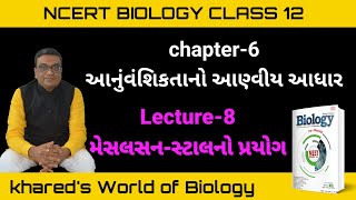 L08  Meselson–Stahl experiment  Molecular Basis of Inheritance  Ch6  Class 12 [upl. by Nagap571]