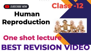 Biology class 12Human ReproductionOne Shot Best Revision video [upl. by Auria]