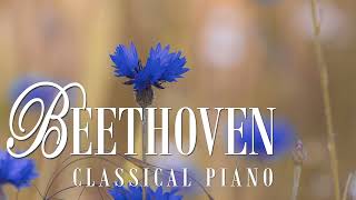 Beethoven  11 Bagatelles op 119  no 9 [upl. by Martica]