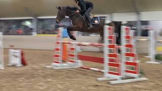 1m20 clear woutershof 2024 23 november with pinata hh [upl. by Clein]