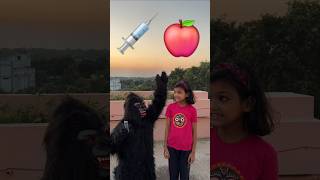 Injecao Do Gorila 🦍🦧🐵🐒💉🍎KritikachannelShortsinjectionfunnycomadydoctorfunnymomentsfunnyvideo [upl. by Nylzzaj395]