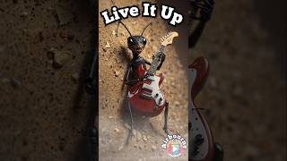 Cicada Spider and Ants Rock Airbournes quotLive It Upquot  Epic Bug Muzak Cover [upl. by Pulchi]