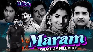 Maram  Best Malayalam Full Movie  Prem Nazir Jayabharathi K P Ummer KPAC Lalitha Adoor Bhasi [upl. by Radec]