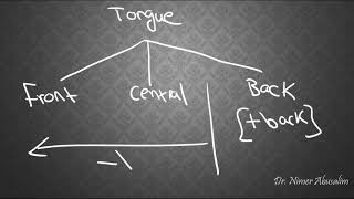 PHONETICS7 Describing English Vowels [upl. by Boycie]