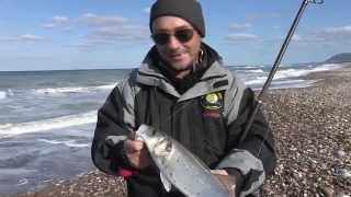 Trabucco TV  Surfcasting  Spigole con mare in scaduta [upl. by Lamdin323]