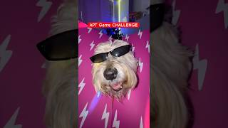 Challenge ATP Game 🐶 TheJessiiShow TheManniiShowcomseries [upl. by Kela]