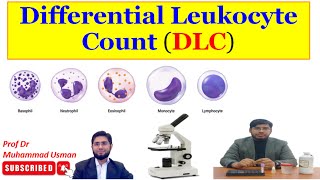 Differential Leukocyte Count DLC Peripheral Blood Film  Leishman Stain  hematology practical [upl. by Dnumyar]