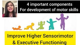 4 important components for development of motor skills that improve higher sensorimotor functioning [upl. by Ferd808]