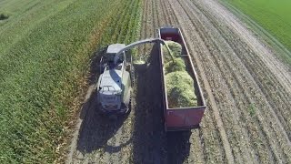 Corn Silage Harvest Gingerich Dairy Farm [upl. by Selia]