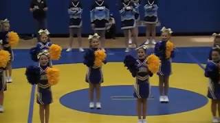 Lansing Small Fry Cheerleaders 2017 JR Team Competition [upl. by Halladba]