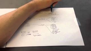 DNA and RNA Viruses Mnemonic for USMLE Step 1 [upl. by Tnomed926]