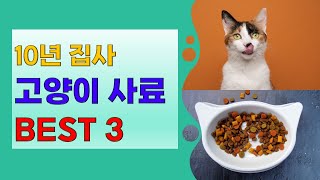 10년 집사 고양이 사료 BEST 3 [upl. by Kristie]