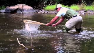 Selecting a Net for Fly Fishing Trout Streams [upl. by Britney]