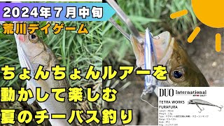 ちょんちょんルアーを動かして楽しむ夏のチーバス釣り／荒川／デイゲーム／シーバス釣り／湾奥 [upl. by Jessalin]