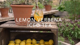 Recipe Lemon Verbena Iced Tea [upl. by Sonaj]