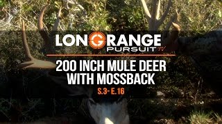 Long Range Pursuit  S3 E16 200 Inch Mule Deer with Mossback [upl. by Kilmarx]