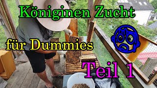 Bienen Königin Zucht Teil 1 Bienenzucht leicht gemacht  Imkern wie da Jupp [upl. by Mattah]