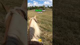 Horse Training with Roadside Challenges [upl. by Ilera]