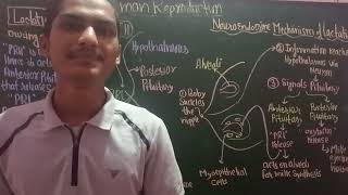 hormonal control of lactation lecture11 biomasterclass teaching humanreproduction ne [upl. by Suiremed]