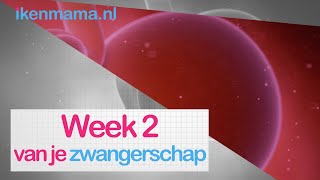 2 weken zwanger Bekijk eerste symptomen en meer informatie over je baby  ikenmamanl [upl. by Sillyrama741]