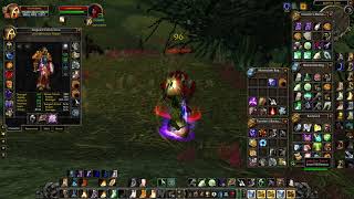 Paladin AoE Farming Gear and Guide Classic WoW HC Part 1 [upl. by Katharyn]