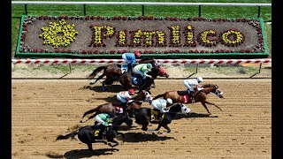 Grade 3 Ms Pimlico Stakes Preview amp Picks  5172024 Preakness Stakes Weekend [upl. by Takeo]