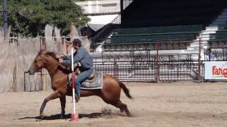 Raza Cuarto de Milla Prueba de Estacas Quarter Horse [upl. by Stoddard978]