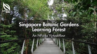 Singapore Botanic Gardens Learning Forest  An NParks Virtual Tour [upl. by Deloris]