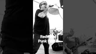 Some clips from the Redwood Punk Fest 2 in Lakeport  CA on 082424 livemusic punkrock [upl. by Haman90]