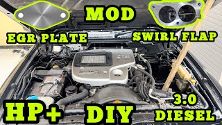 Nissan ZD30 30 Patrol Terrano How To BLOCK EGR amp Swirl Flap MOD DIY Step By Step HP [upl. by Anire]