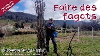 Découverte de la fagotière  Astuce de jardinier [upl. by Zelle]