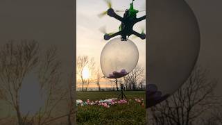 fpv drone pops balloon 🎈 fpvdrone drone slowmotion shorts [upl. by Gaven960]