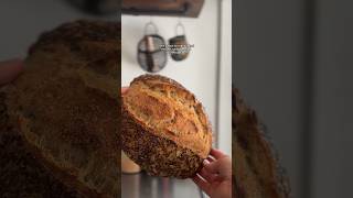 How to make a rustic seeded sourdough loaf 🍞 with your normal sourdough dough 👩‍🍳 [upl. by Ynaffad916]