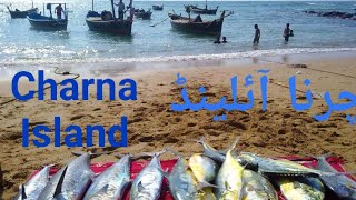 Charna Island I Beautiful Beach in Asia I Best place to visit in Karachi I Islands in Pakistan [upl. by Jewel]