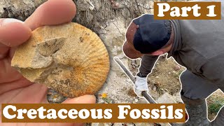 Marine fossils in the mountains Camping in the wild  Part 1 [upl. by Aniwde]