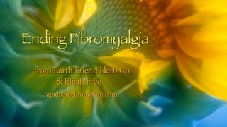 Ending Fibromyalgia [upl. by Tiffy385]