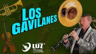 Estrellas De Sinaloa De Germán Lizárraga amp Mariachi Los Gavilanes  Los Gavilanes 🦅  MUSICAL [upl. by Ayihsa825]