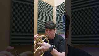 Woodwind player trying to switch to brass 🤣 been having so much fun with flugel and trumpet lately [upl. by Whelan]