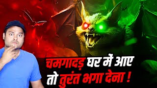 चमगादड़ 🦇 घर में आना अशुभ क्यों माना जाता है 🏠 Where Does Bat Superstition Come From Many Facts [upl. by Annadiana]