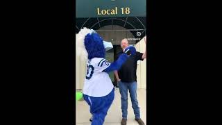 Blue Colts Mascot Pie in the Face Compilation 🤣🤣🤣🤣 [upl. by Lenzi617]