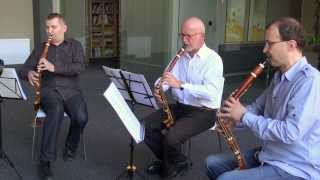 Lotz Trio  Basset Horn trio  WAMozart Zauberflöte  Marsch der Priester HD [upl. by Southworth]